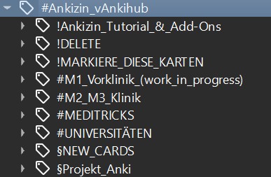 Übersicht über die tagging Struktur im Ankizin Deck