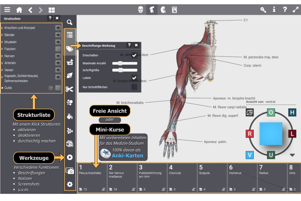 Screenshot aus dem Effigos 3D-Explorer mit Hervorhebungen und Erklärungen