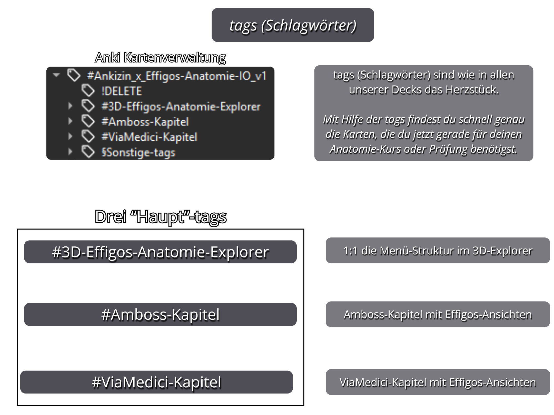 Übersicht der tags